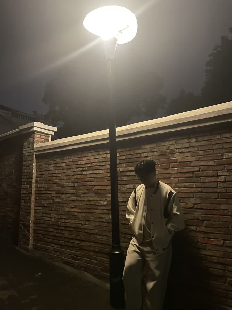 深夜路灯下倚墙独照